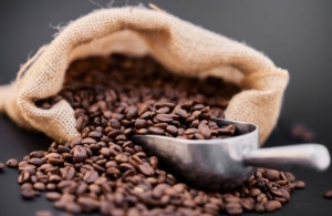 Balance Coffee Wholesale Coffee Beans Opportunities